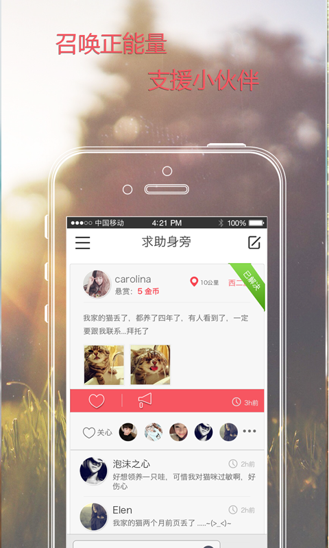 焦圈