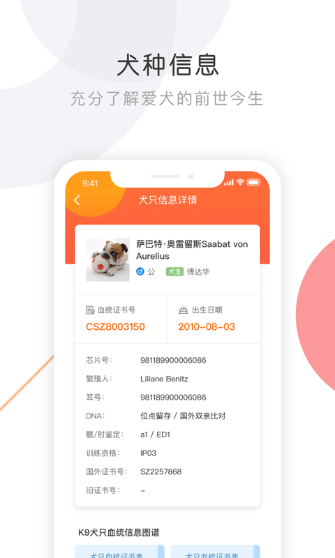 K9犬网