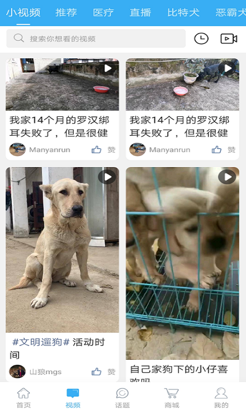 猛犬俱乐部