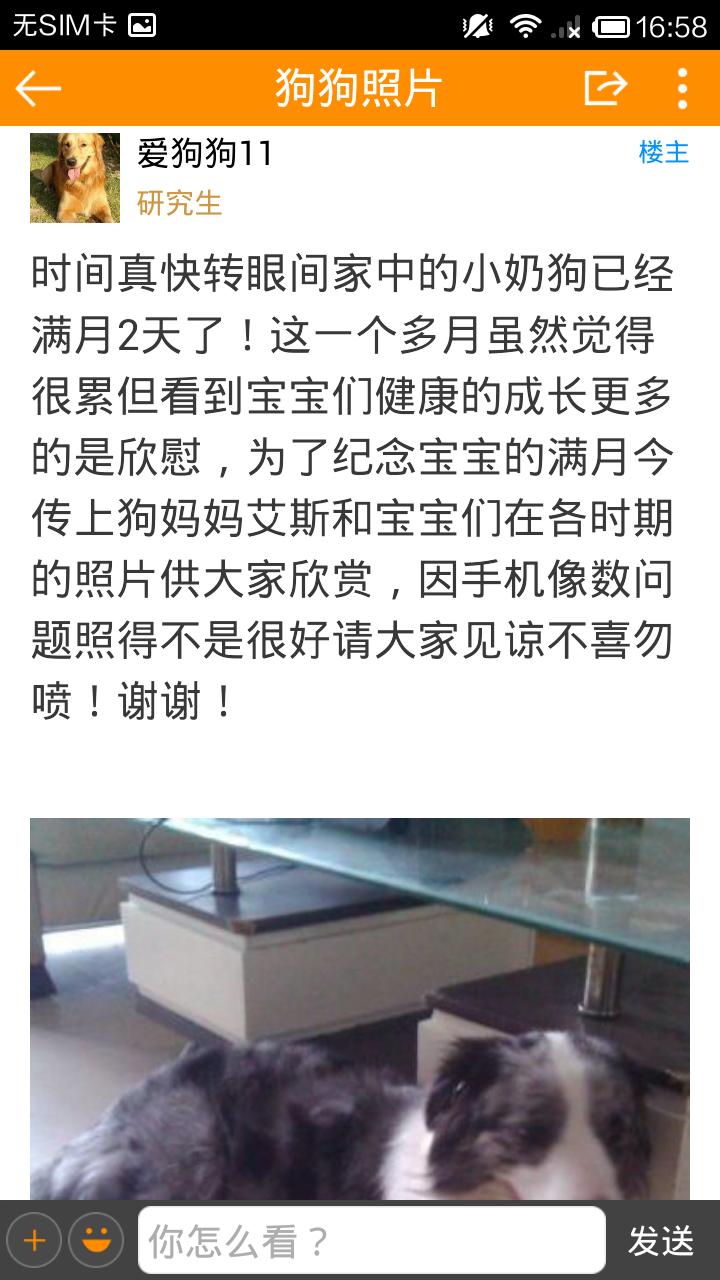 长沙狗狗论坛