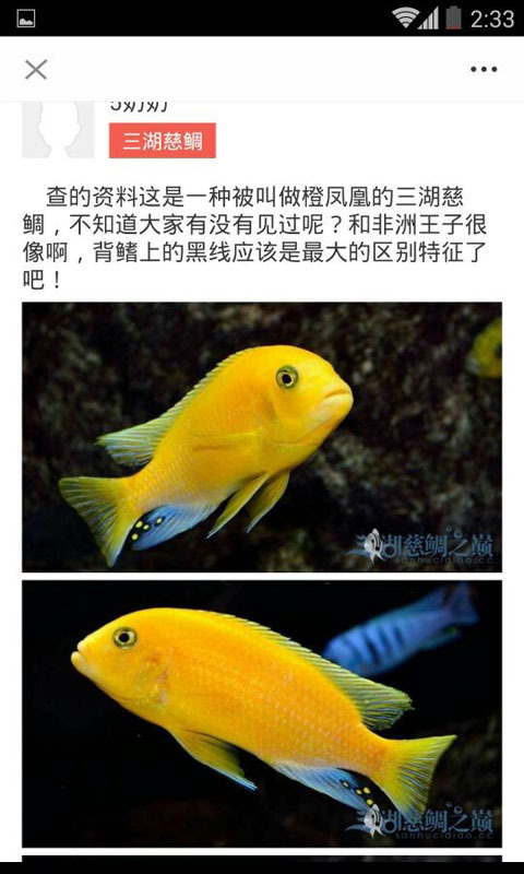 南美水族