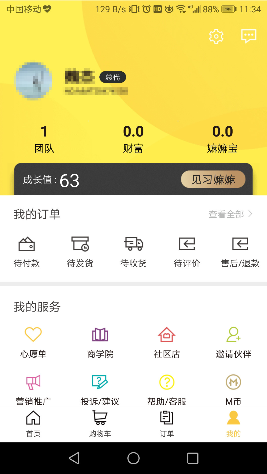 嫲嫲团