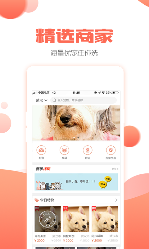 派多格宠物