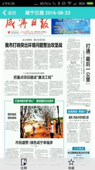 八点报