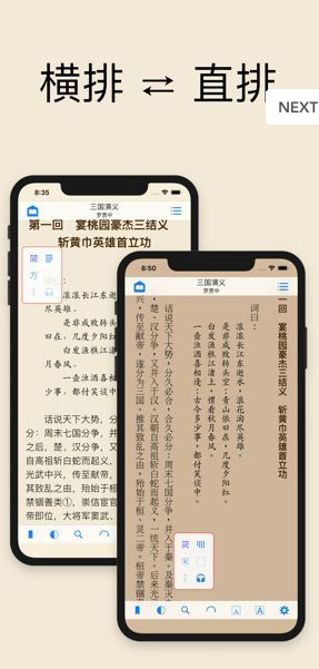 巴掌印小说