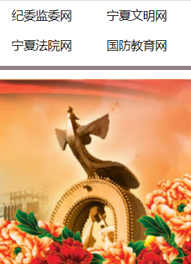 宁夏新闻网