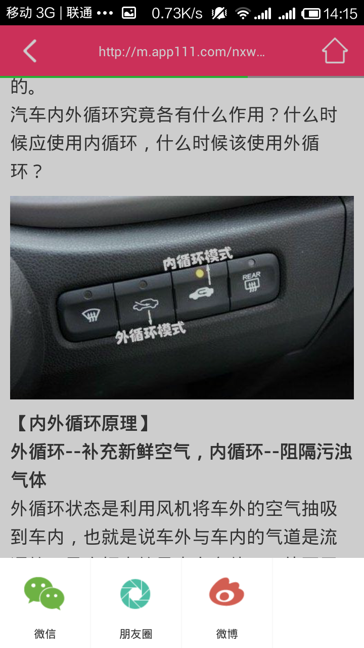 菊花姐姐
