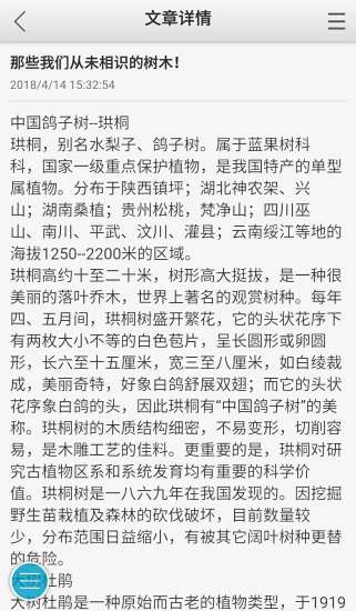小森林