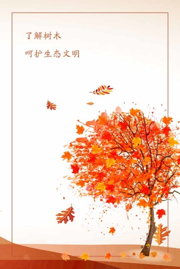 小森林