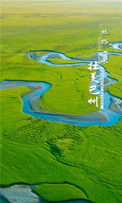 我的巴州