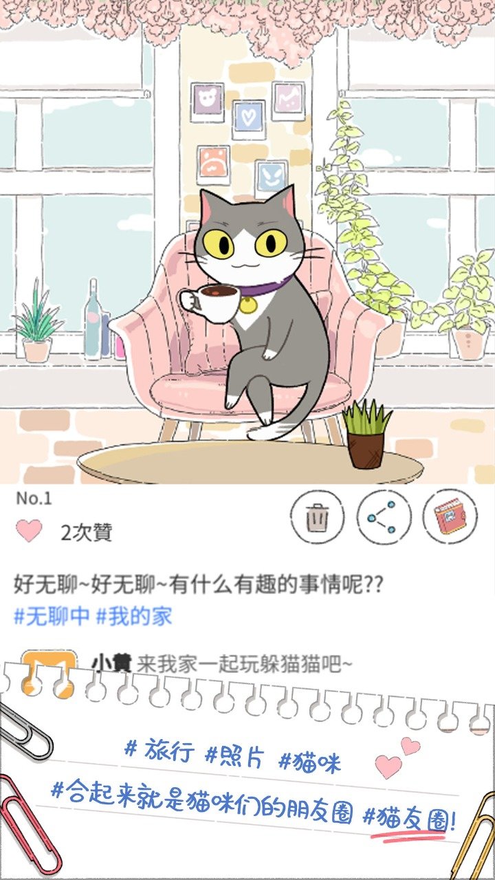 猫友圈:猫咪的旅行