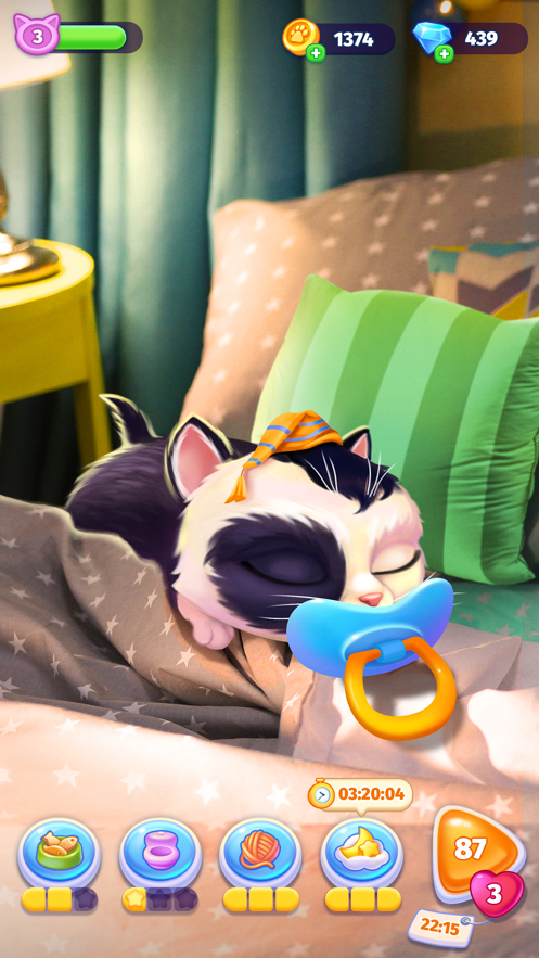 My Cat