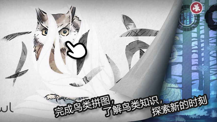 森鸟画语