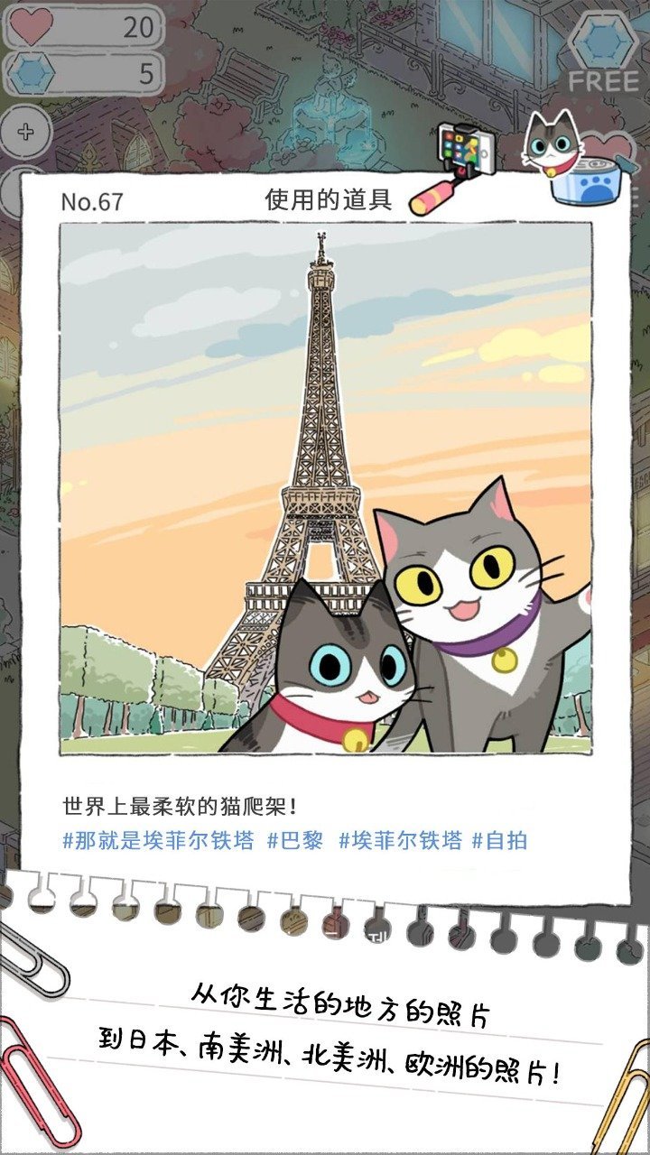 猫友圈:猫咪的旅行