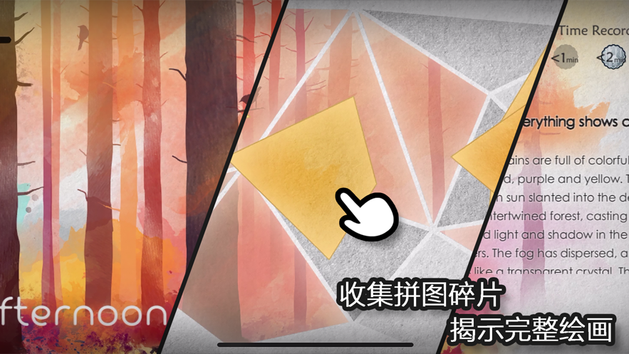 森鸟画语