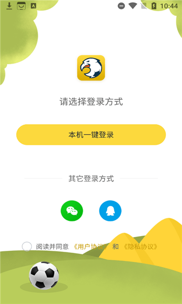 爱进球