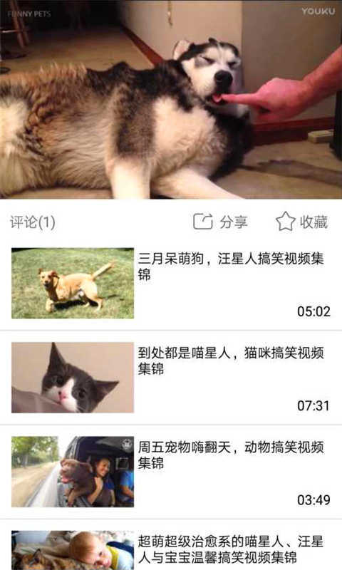 快看短视频