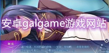 galgame手游安卓版下载